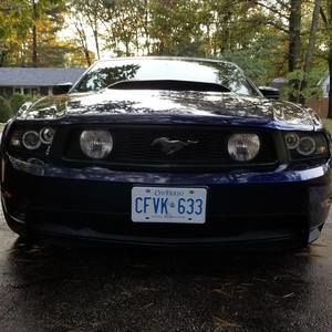 Meet your Posher, Paul